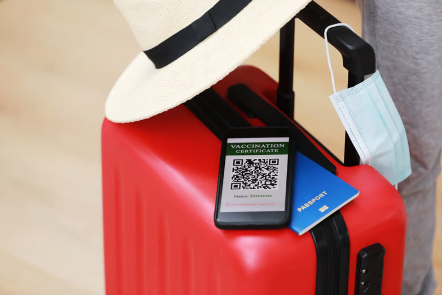 wisatawan menyiapkan koneksi esim melalui ponsel sebelum berangkat agar dapat mengakses internet selama perjalanan ke luar negeri